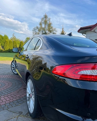 Jaguar XF cena 67900 przebieg: 130000, rok produkcji 2014 z Koronowo małe 211